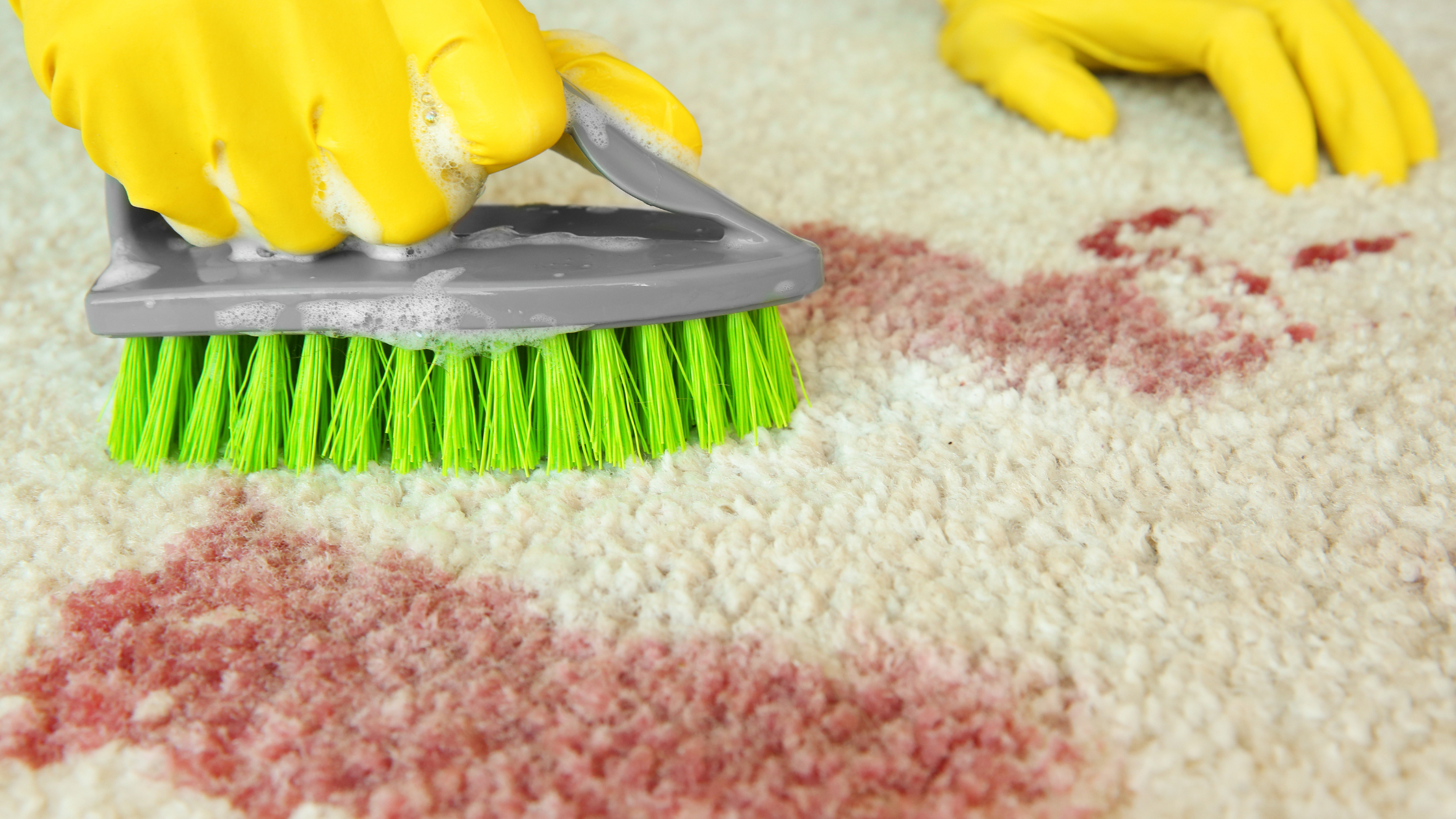 person getting blood stains out of carpet