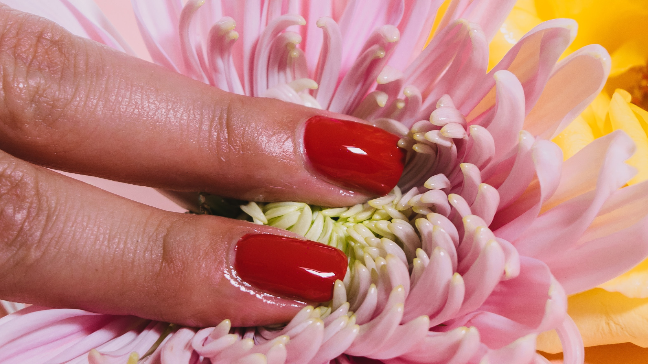 Hertility’s menstrual cycle basics: Focus on the follicular phase