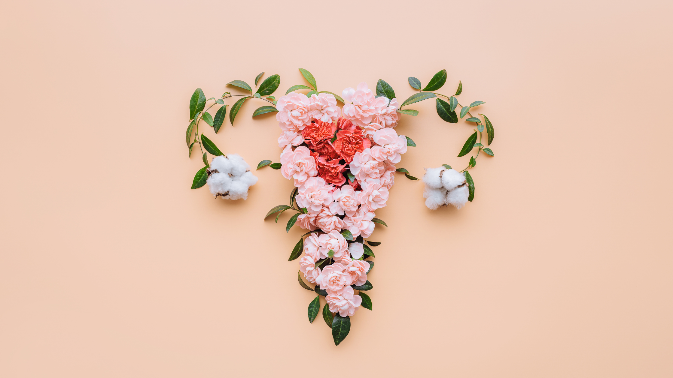 Hertility’s menstrual cycle basics: Periods 101
