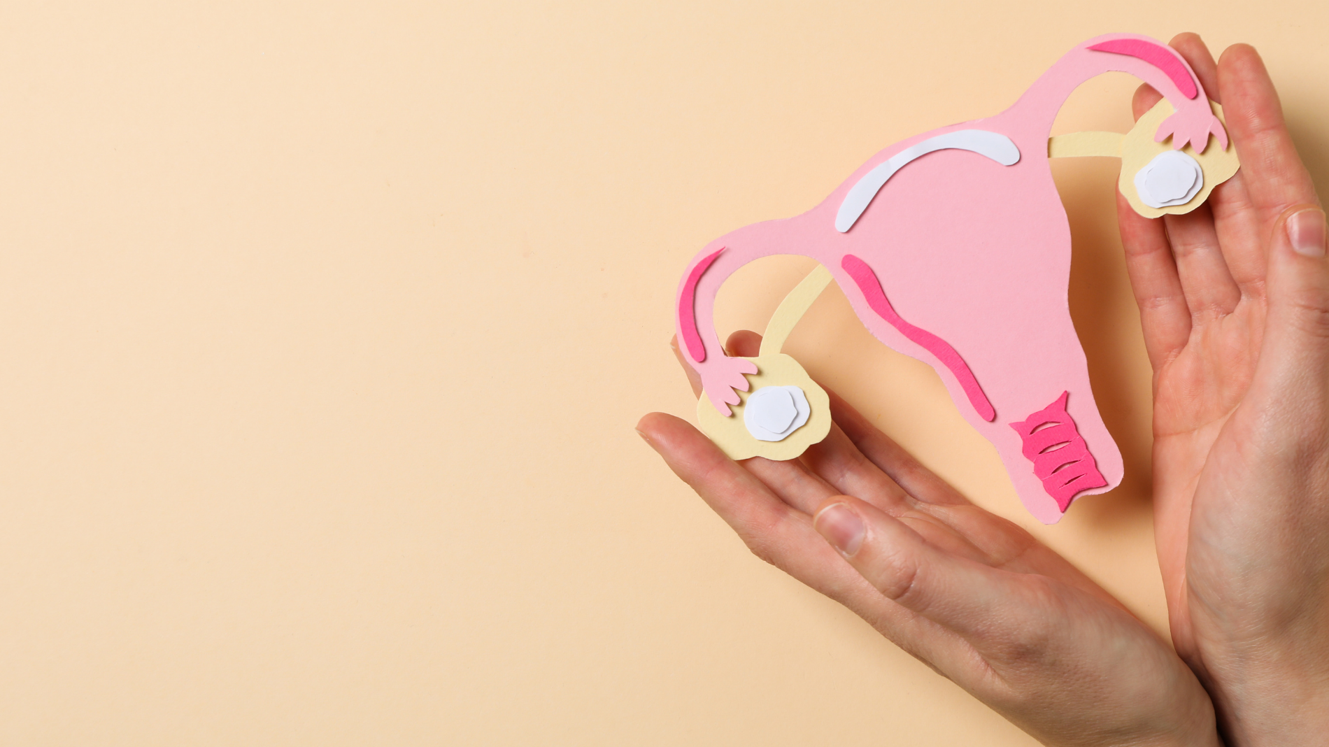 Paper cut-out illustration of ovaries on a pink background, symbolising uterine health and fibroid awareness