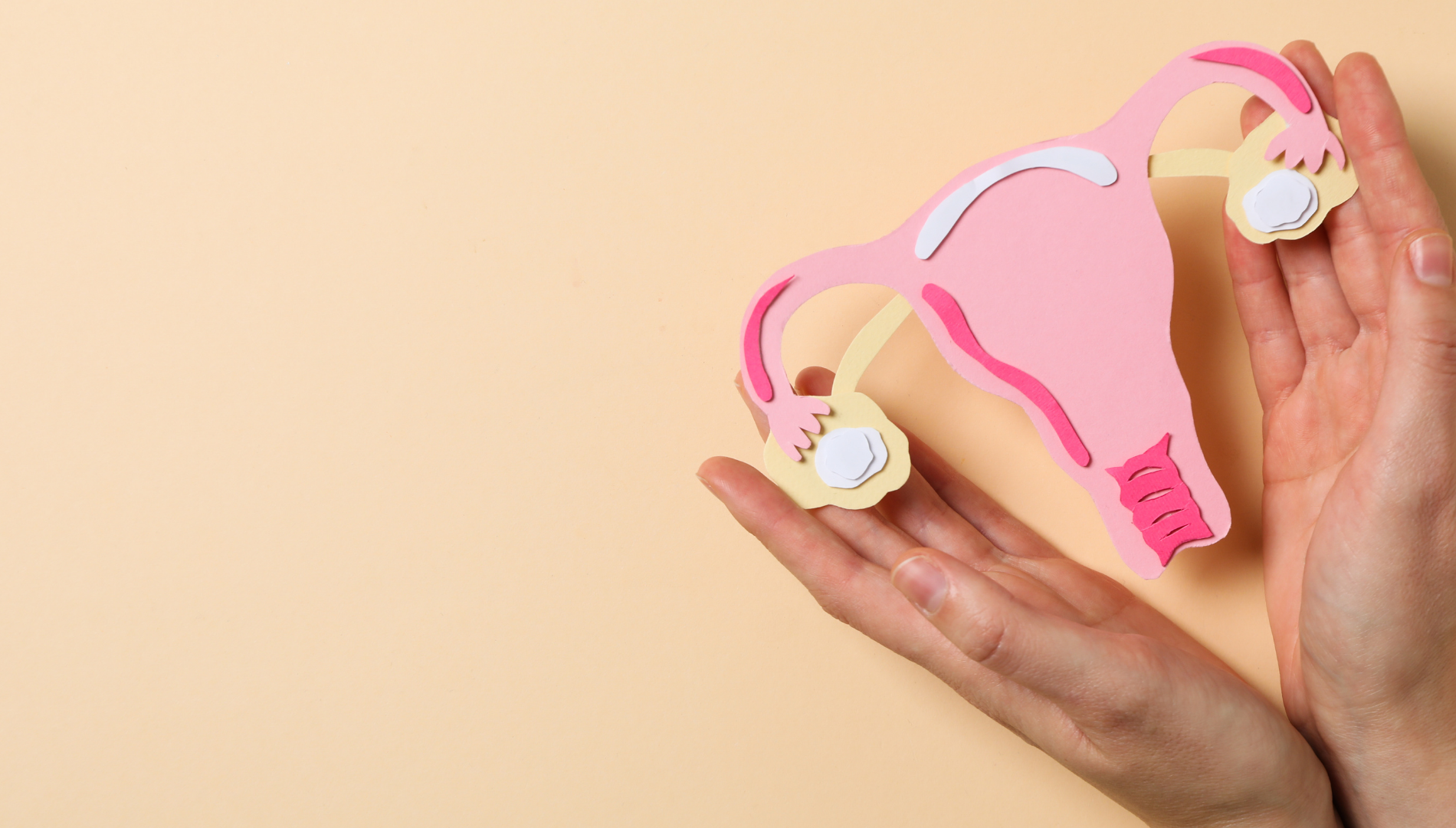 Paper cut-out illustration of ovaries on a pink background, symbolising uterine health and fibroid awareness