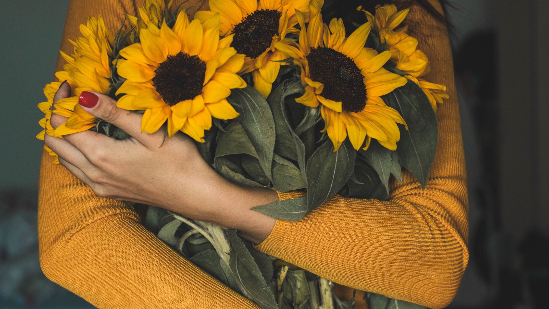 woman holding sunflowers