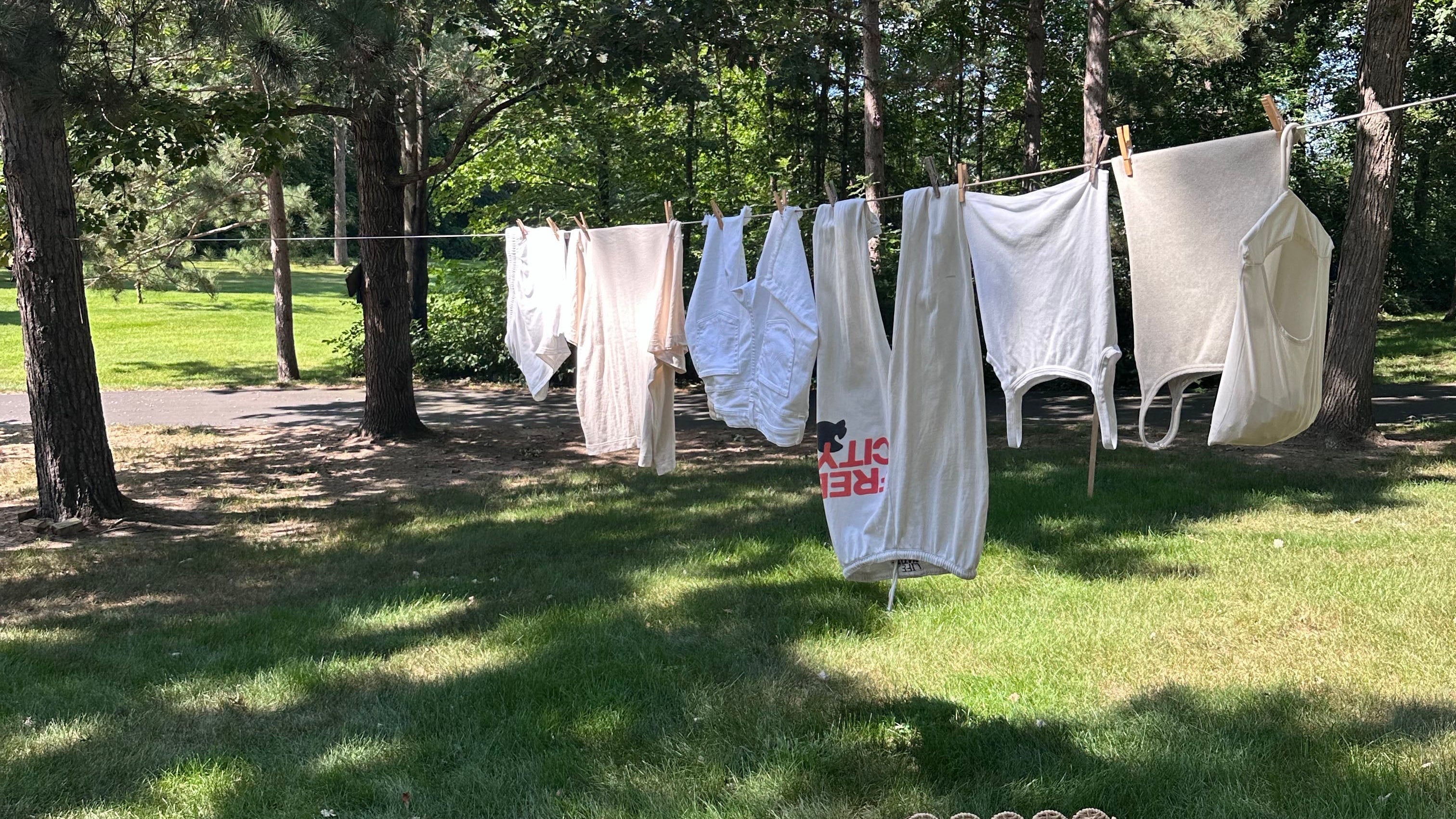 white clothes hanging on laundry line in garden