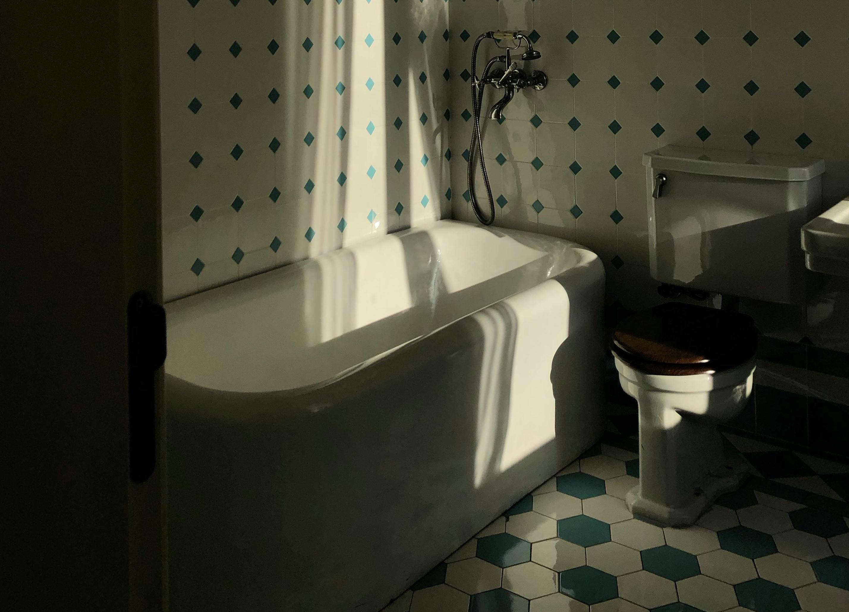 What to do if you drop your Mooncup down the toilet